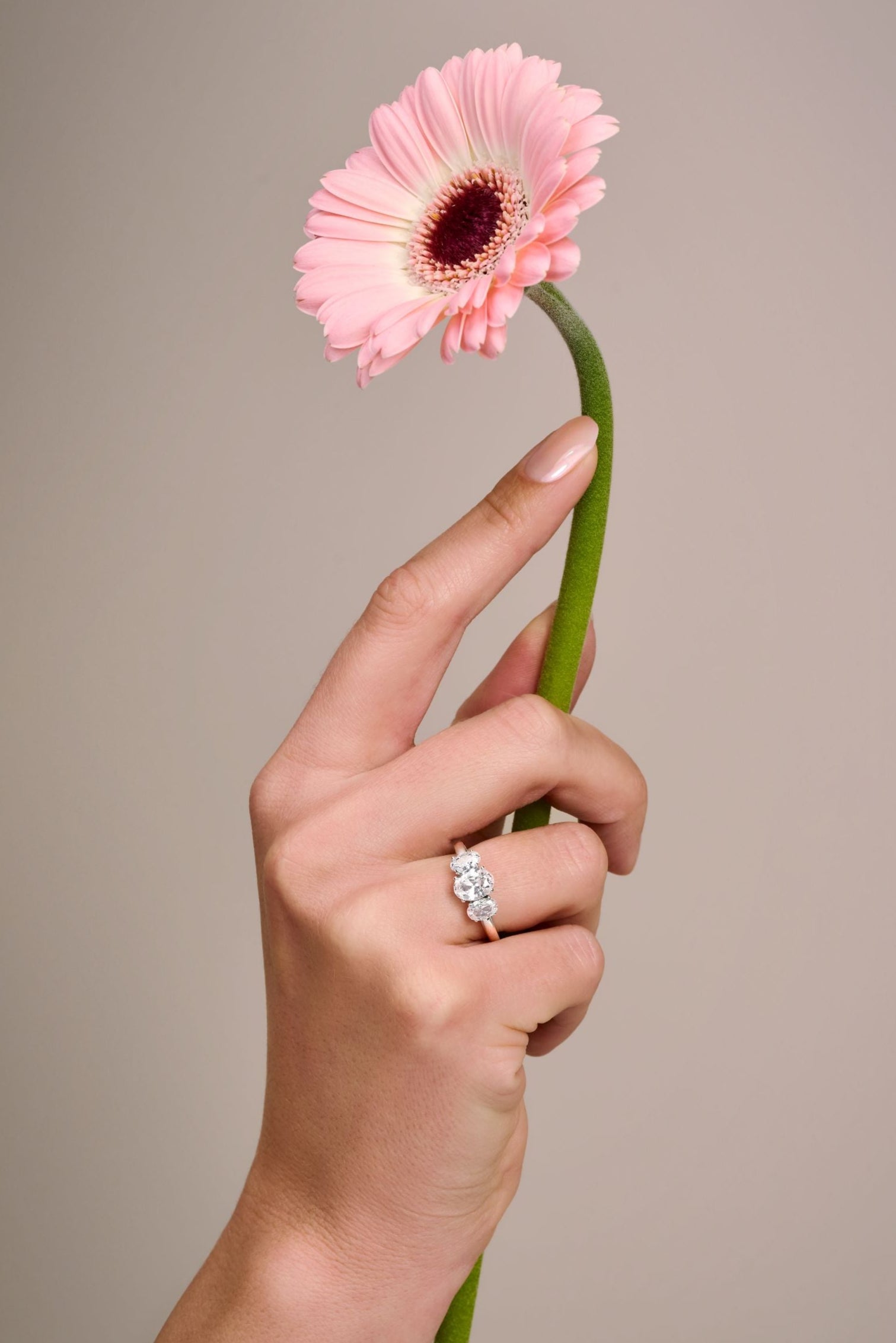 (Royal Asscher Oval)