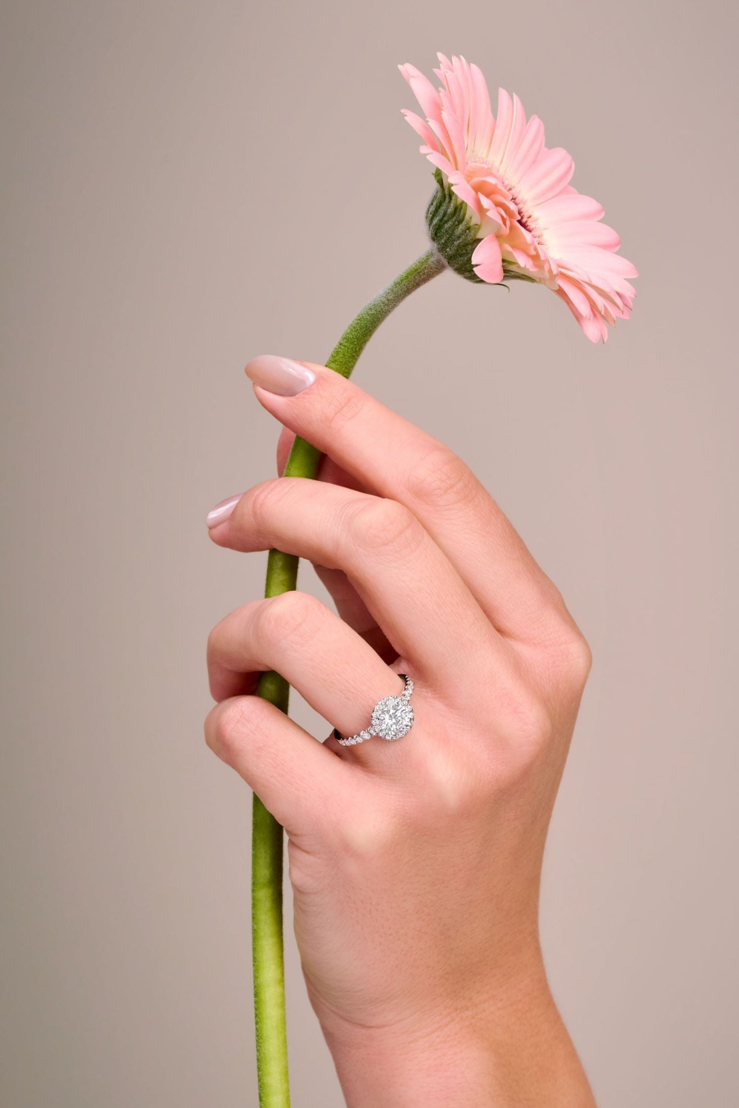 (Royal Asscher Brilliant)